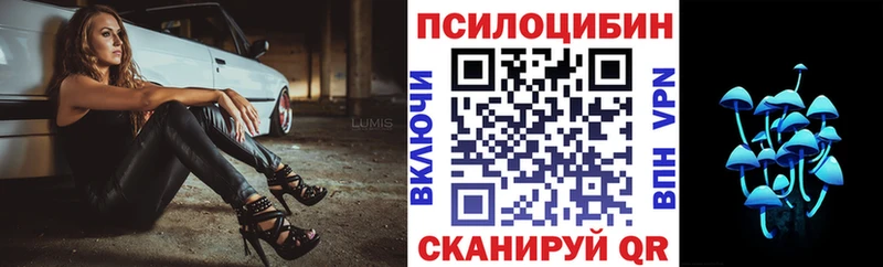 Псилоцибиновые грибы мицелий  где купить наркоту  Болгар 